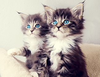 低空無(wú)人機(jī)測(cè)繪：高效、精確、廣泛應(yīng)用的新興技術(shù)