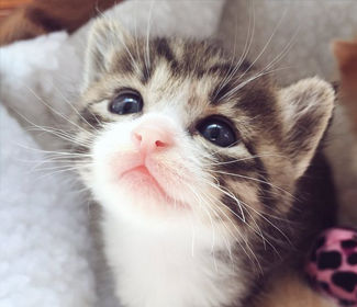 低空無(wú)人機(jī)測(cè)繪：高效、精確、廣泛應(yīng)用的新興技術(shù)